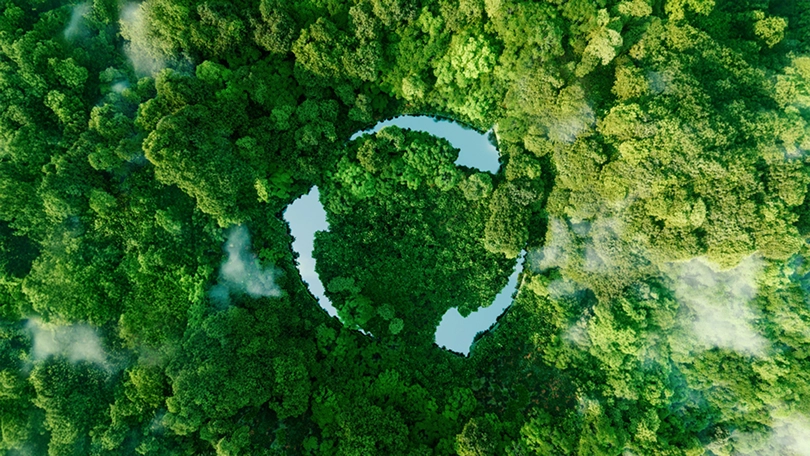 Sustainable by choice